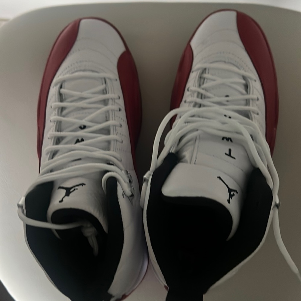 Jordan 12s NEVER worn
